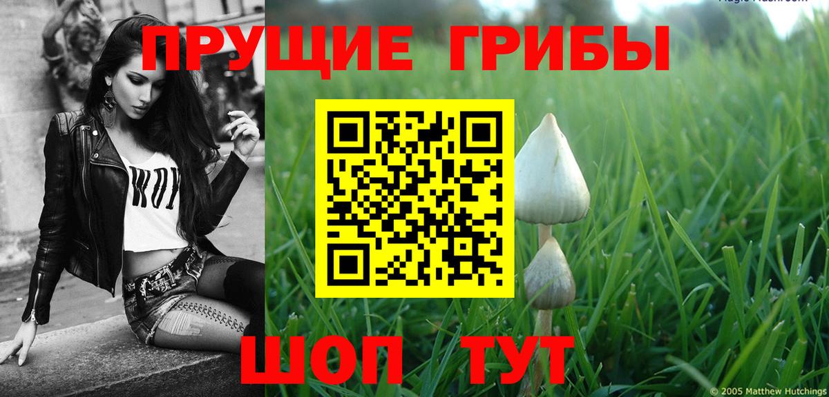 Галлюциногенные грибы Magic Shrooms Зеленодольск