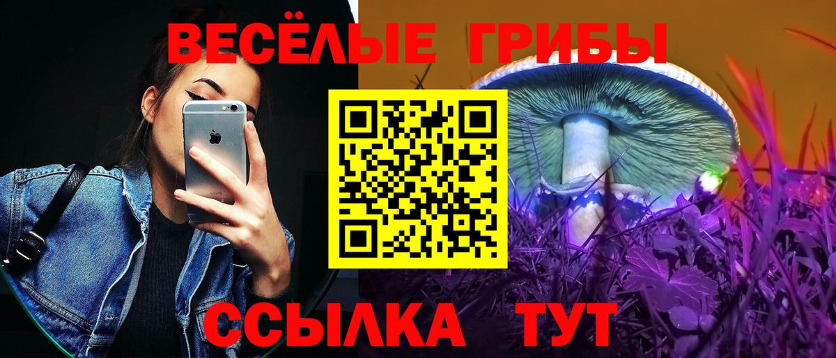 Галлюциногенные грибы MAGIC MUSHROOMS  Вход с VPN  Зеленодольск  Псилоцибиновые грибы MAGIC MUSHROOMS 